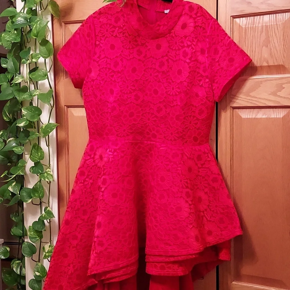 EIEN EUC Red Lace Dress - Picture 2 of 12